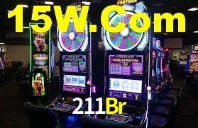 Programa VIP 211Br