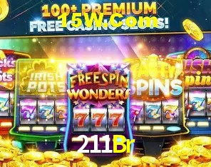211Br Salvador - Support