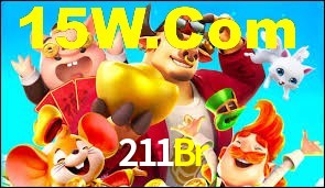 Experiência VIP 211Br