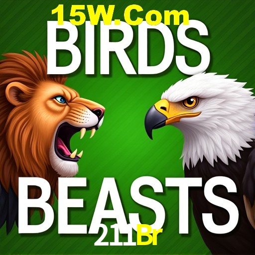 211Br São Paulo - All Bonuses