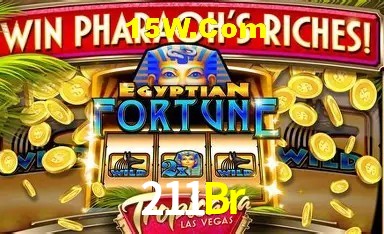 Tecnologia da Plataforma 211Br