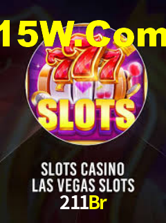 211Br - Installation Guide