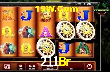 211Br Rio de Janeiro - Calendar