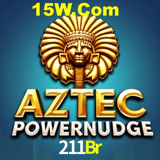 Security Systems 211Br